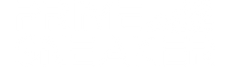 Prime Sneaker Logo Blanc